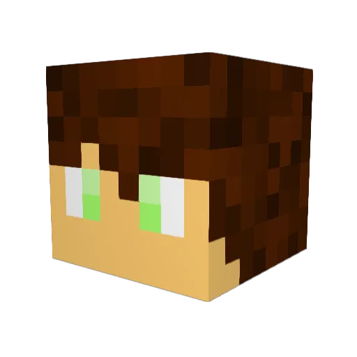 Flastenee Minecraft avatar head, 3D render