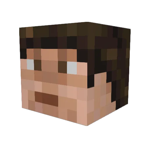 FlatHead6 Minecraft avatar head, 3D render