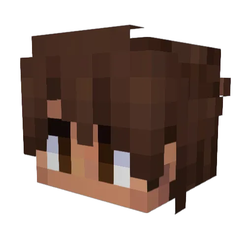 FlatNat Minecraft avatar head, 3D render