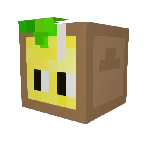 FlatPackedLemons Minecraft avatar head, 3D render