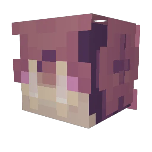 FlatPattastic12 Minecraft avatar head, 3D render