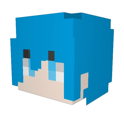 FlatSarah_ Minecraft avatar head, 3D render