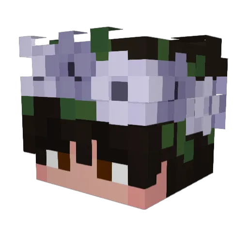 FlatTire Minecraft avatar head, 3D render