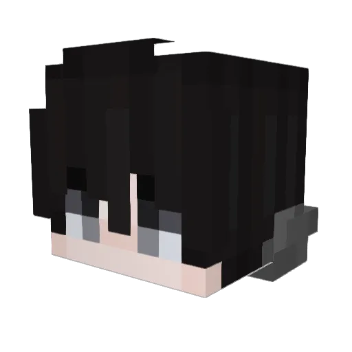 Flaterss Minecraft avatar head, 3D render