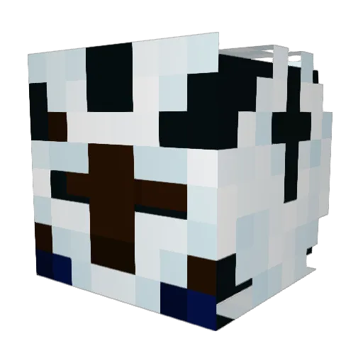 FlatterTunic747 Minecraft avatar head, 3D render