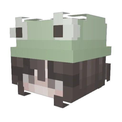 Flattkawa Minecraft avatar head, 3D render