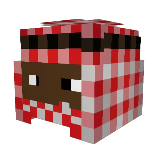Flatty31 Minecraft avatar head, 3D render