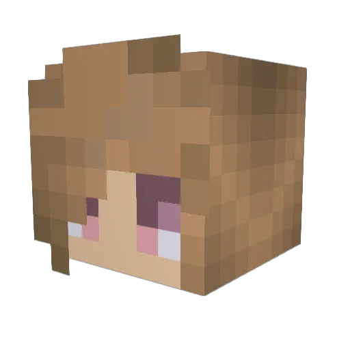Flatus79 Minecraft avatar head, 3D render