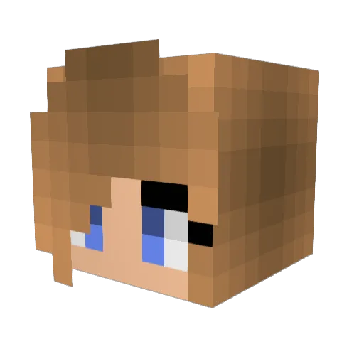 Flau111 Minecraft avatar head, 3D render