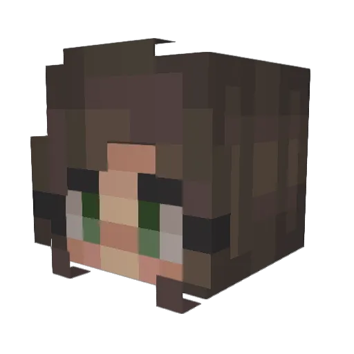Flaule Minecraft avatar head, 3D render