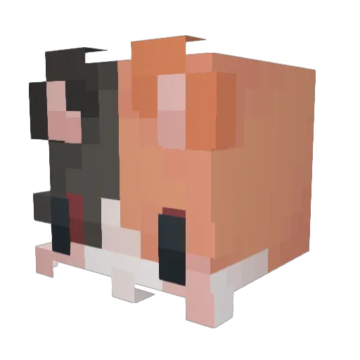 Flauschbauschl Minecraft avatar head, 3D render