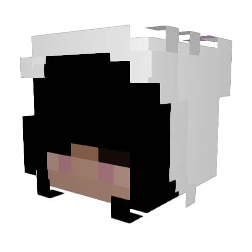 Flav_I0 Minecraft avatar head, 3D render