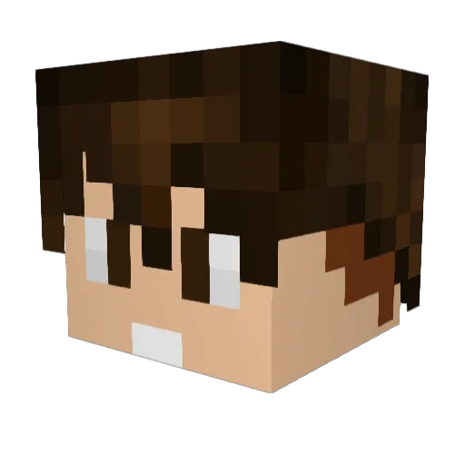 FlavinhoDoWPP Minecraft avatar head, 3D render