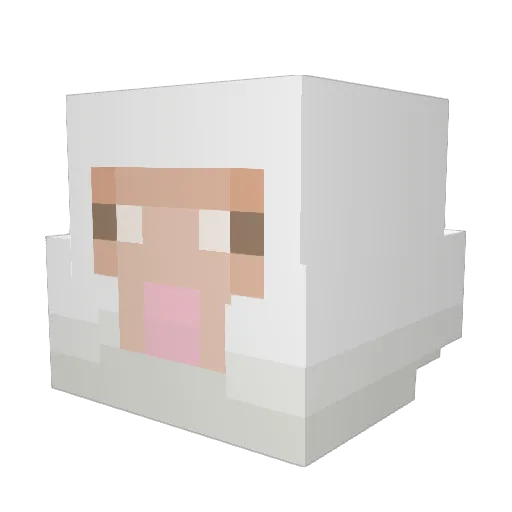 FlavoredBongo97 Minecraft avatar head, 3D render
