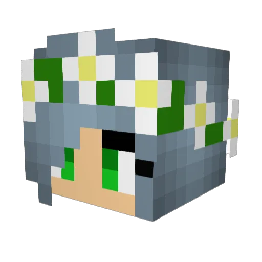 Flavoredmoles123 Minecraft avatar head, 3D render