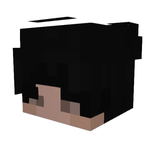 Flaw0 Minecraft avatar head, 3D render