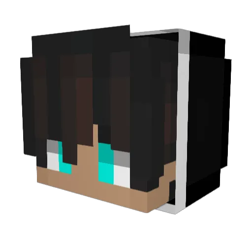 Flawed_333 Minecraft avatar head, 3D render