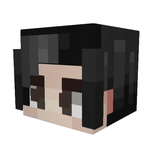 FlawlessFailer Minecraft avatar head, 3D render
