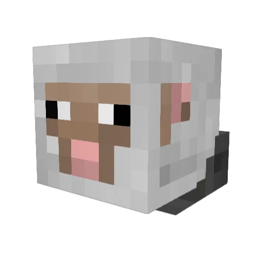 FlawlessPoesje Minecraft avatar head, 3D render