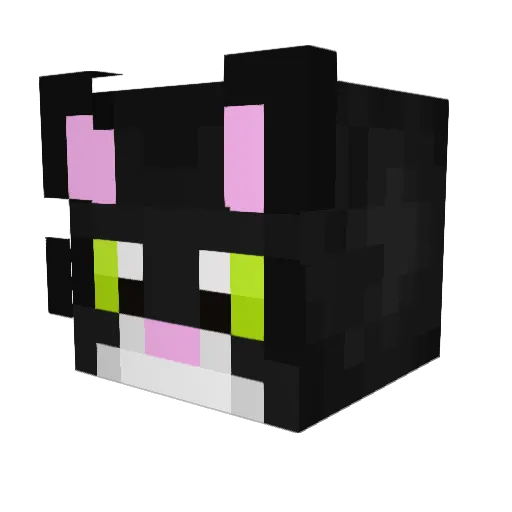 Minecraft-Avatar von Flawory: Kopf als 3D-Render