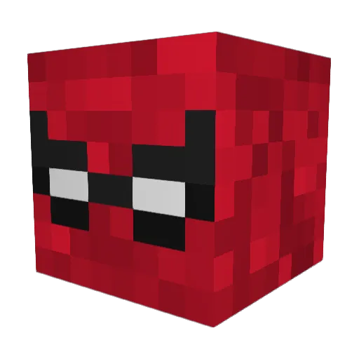 FlawzMC Minecraft avatar head, 3D render