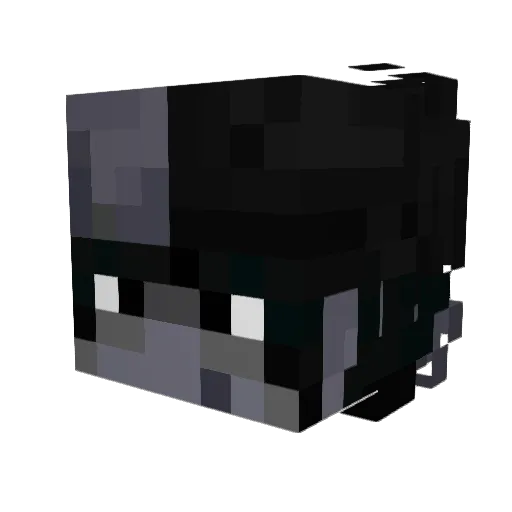 Flawzic Minecraft avatar head, 3D render