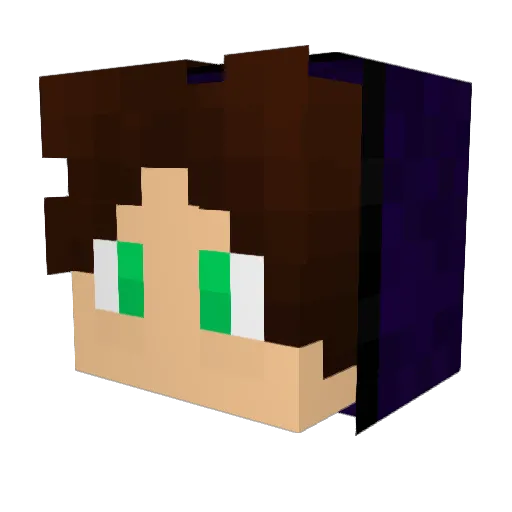FlaxZ Minecraft avatar head, 3D render