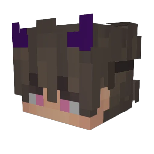 Flaxionn Minecraft avatar head, 3D render