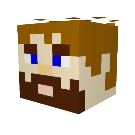 Flaxster Minecraft avatar head, 3D render