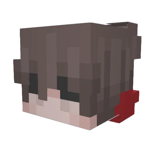 Flaybits Minecraft avatar head, 3D render