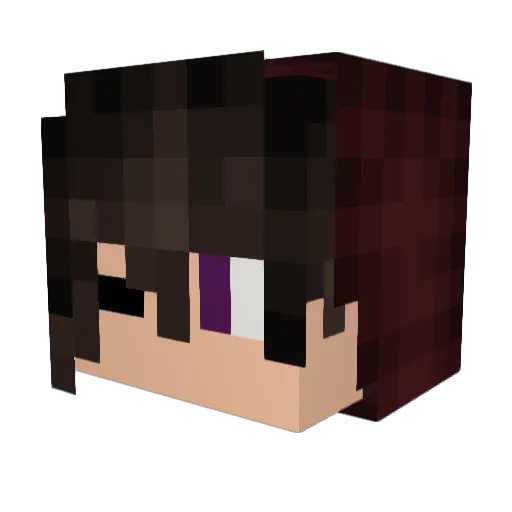 Flayme__ Minecraft avatar head, 3D render