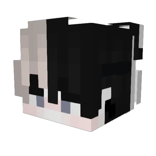 FlazerugaDP Minecraft avatar head, 3D render