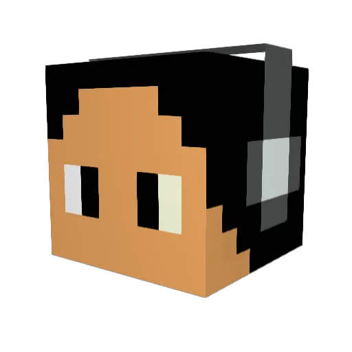 Flc123 Minecraft avatar head, 3D render
