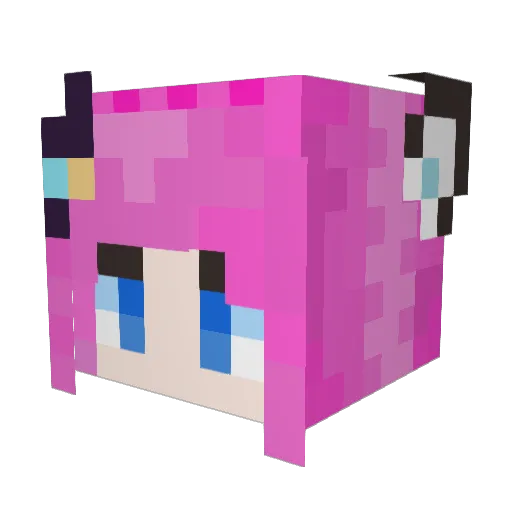 Flcalor Minecraft avatar head, 3D render