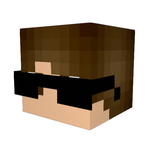 Flcrider Minecraft avatar head, 3D render