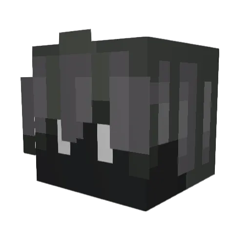 FleDy_420 Minecraft avatar head, 3D render