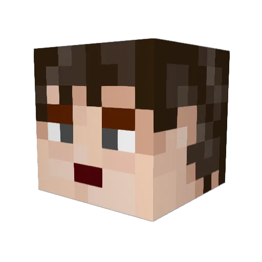 FleXer1 Minecraft avatar head, 3D render