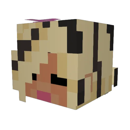 FleXx2 Minecraft avatar head, 3D render