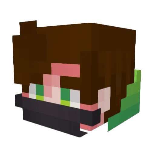 FleY1 Minecraft avatar head, 3D render