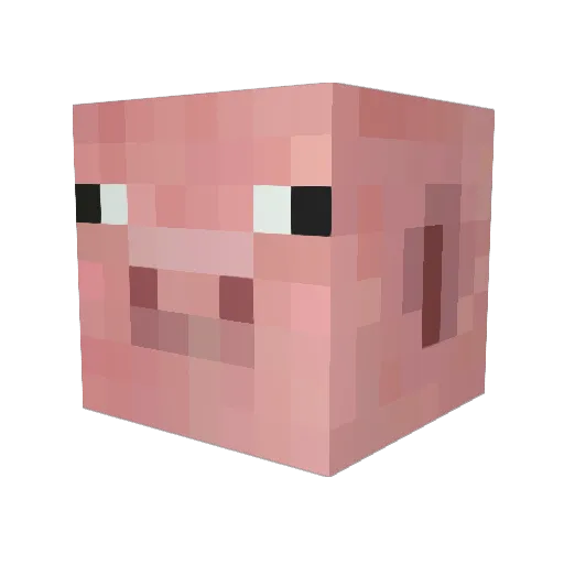 FleaTehFlerr Minecraft avatar head, 3D render