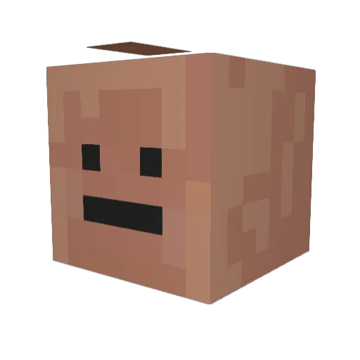 Fleaku Minecraft avatar head, 3D render
