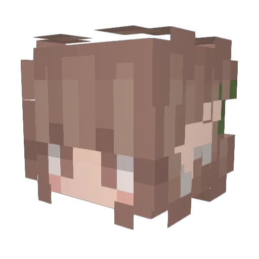 Fleapotts Minecraft avatar head, 3D render