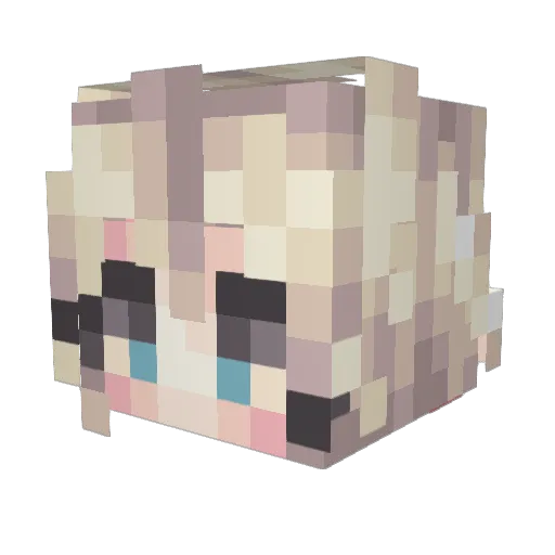 Flechosie14 Minecraft avatar head, 3D render