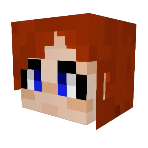 Fleck2011 Minecraft avatar head, 3D render