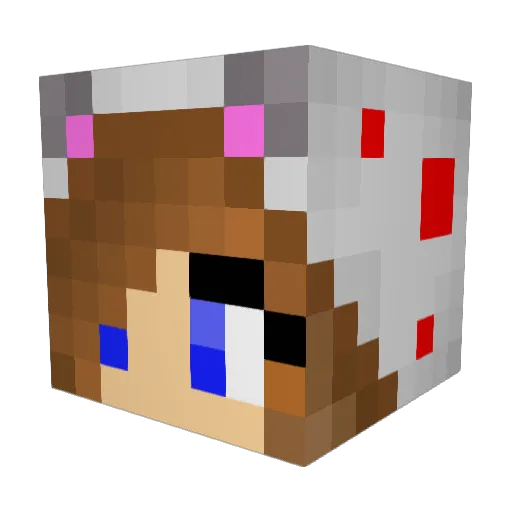 FleckKleck Minecraft avatar head, 3D render