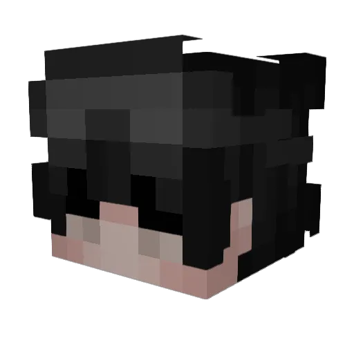 Fleckenentferner Minecraft avatar head, 3D render