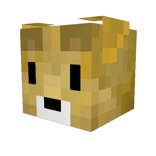 Flecki0911 Minecraft avatar head, 3D render