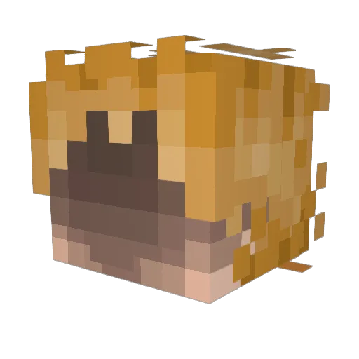 Fleckiger Minecraft avatar head, 3D render