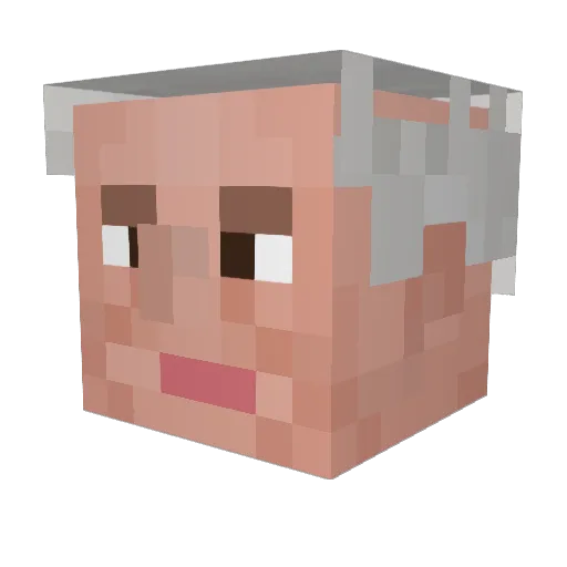 FledGuy Minecraft avatar head, 3D render