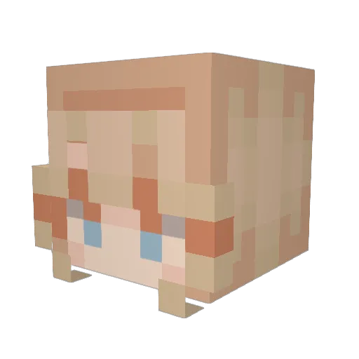 Fleddi6 Minecraft avatar head, 3D render